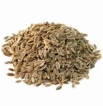 Natural Dill Seeds